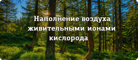 Среда полноценного развития детей